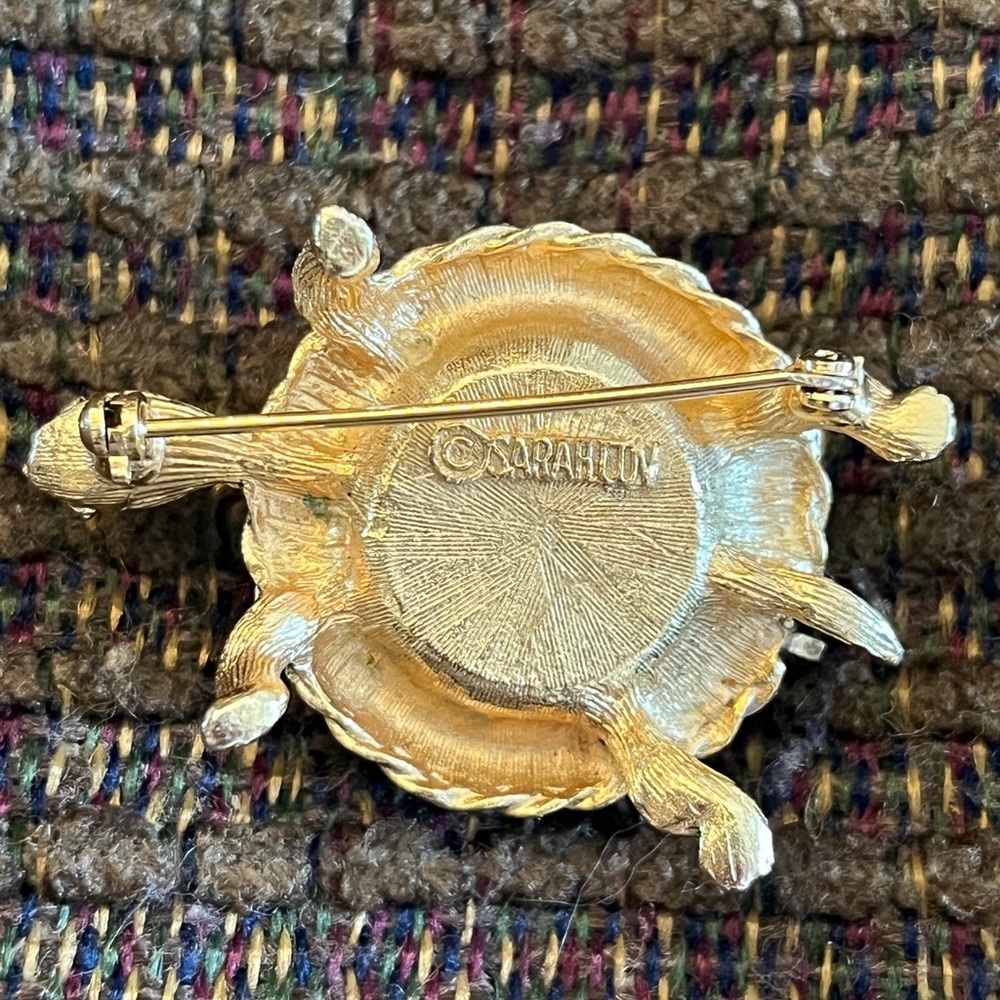 A Trio of Turtles - Picture 6 of 11